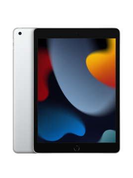 iPad 9 generazione